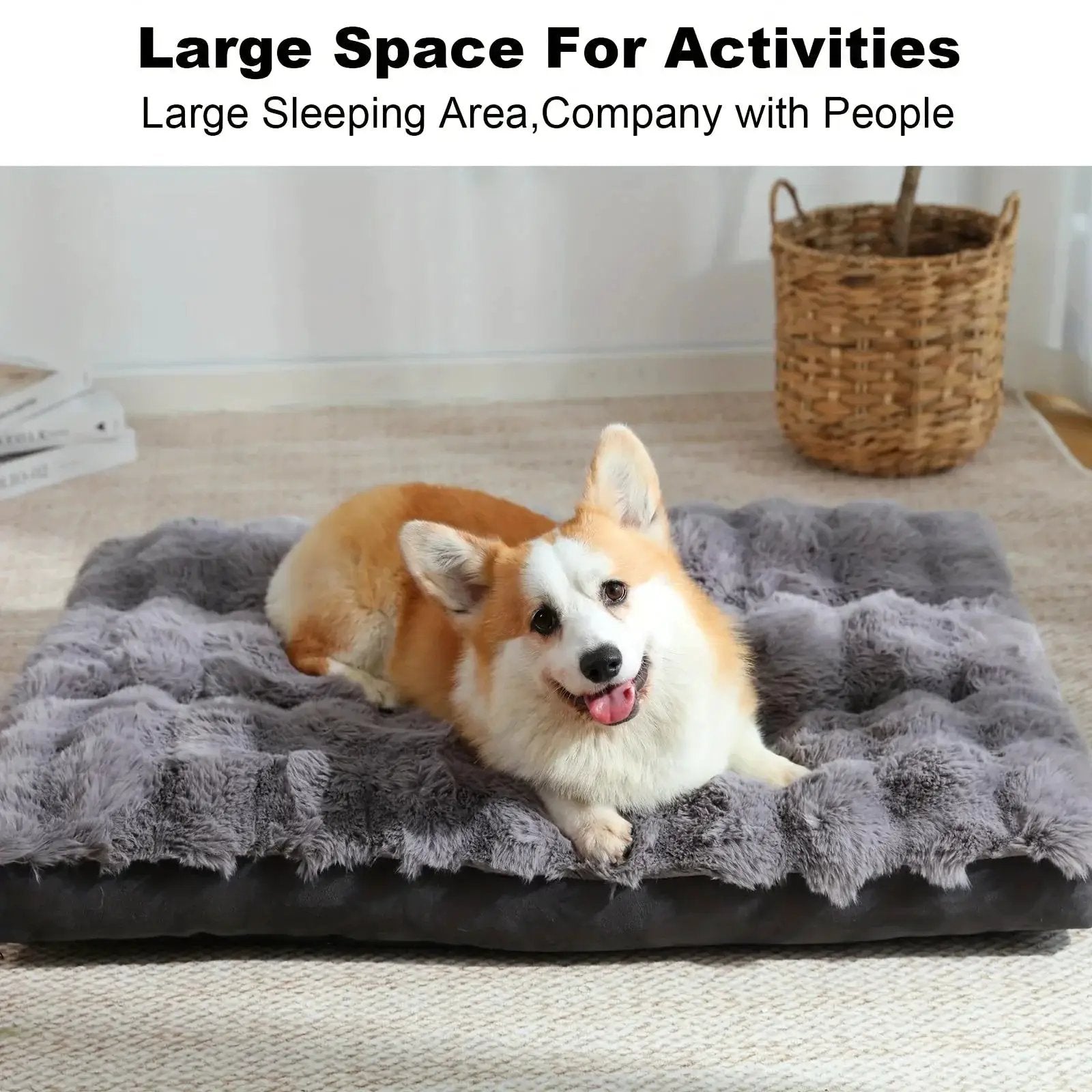 Extra Large Orthopedic Dog Bed - Luxurious Plush Faux Fur Kennel, Bite-Resistant, Dirt-Repellent and Machine Washable Pet Mat with Anti-Slip Bottom, Stylish for Living Rooms, All-Season Comfort & Joint Support for Large Dogs by House Of Avana