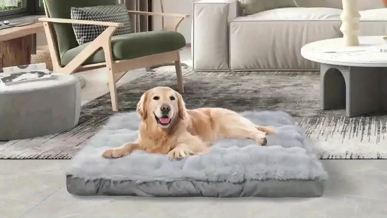 Extra Large Orthopedic Dog Bed - Luxurious Plush Faux Fur Kennel, Bite-Resistant, Dirt-Repellent and Machine Washable Pet Mat with Anti-Slip Bottom, Stylish for Living Rooms, All-Season Comfort & Joint Support for Large Dogs by House Of Avana