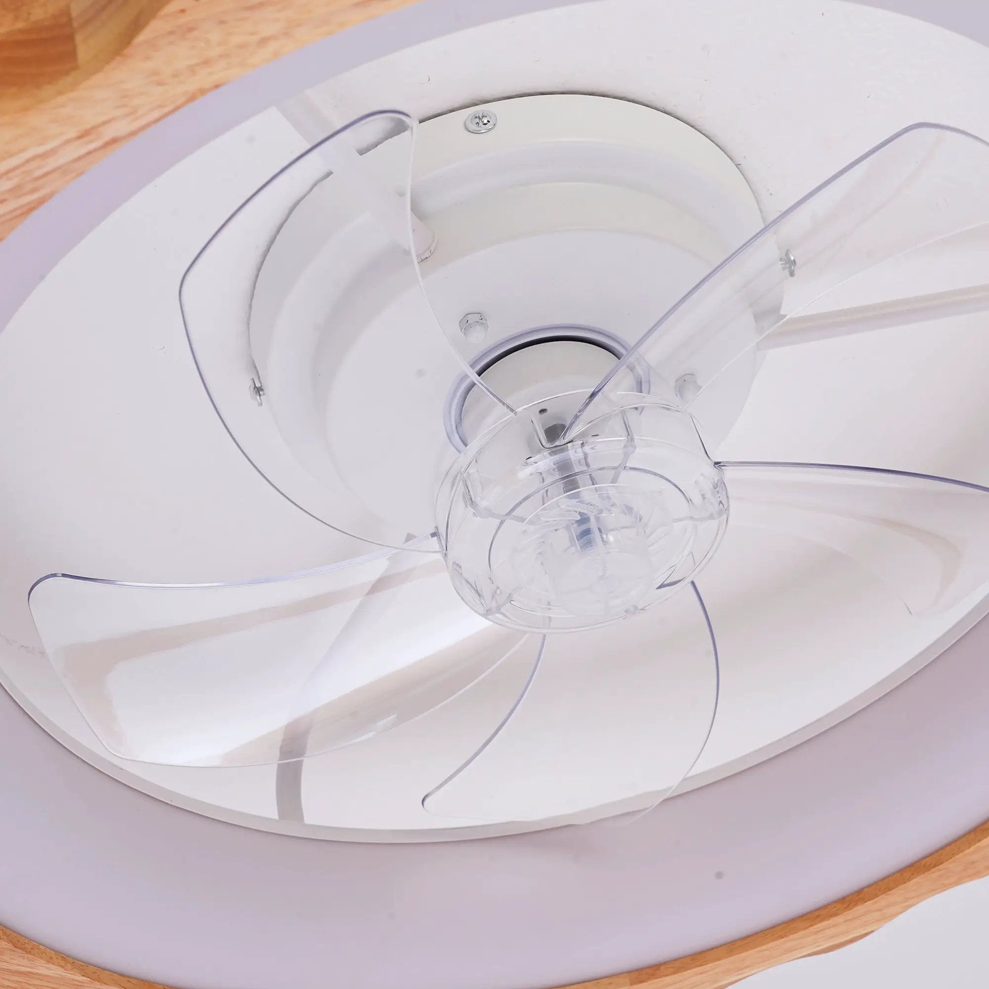 20" Plum Blossom Flush Mount Ceiling Fan with Lights and Remote by HouseOfZazla