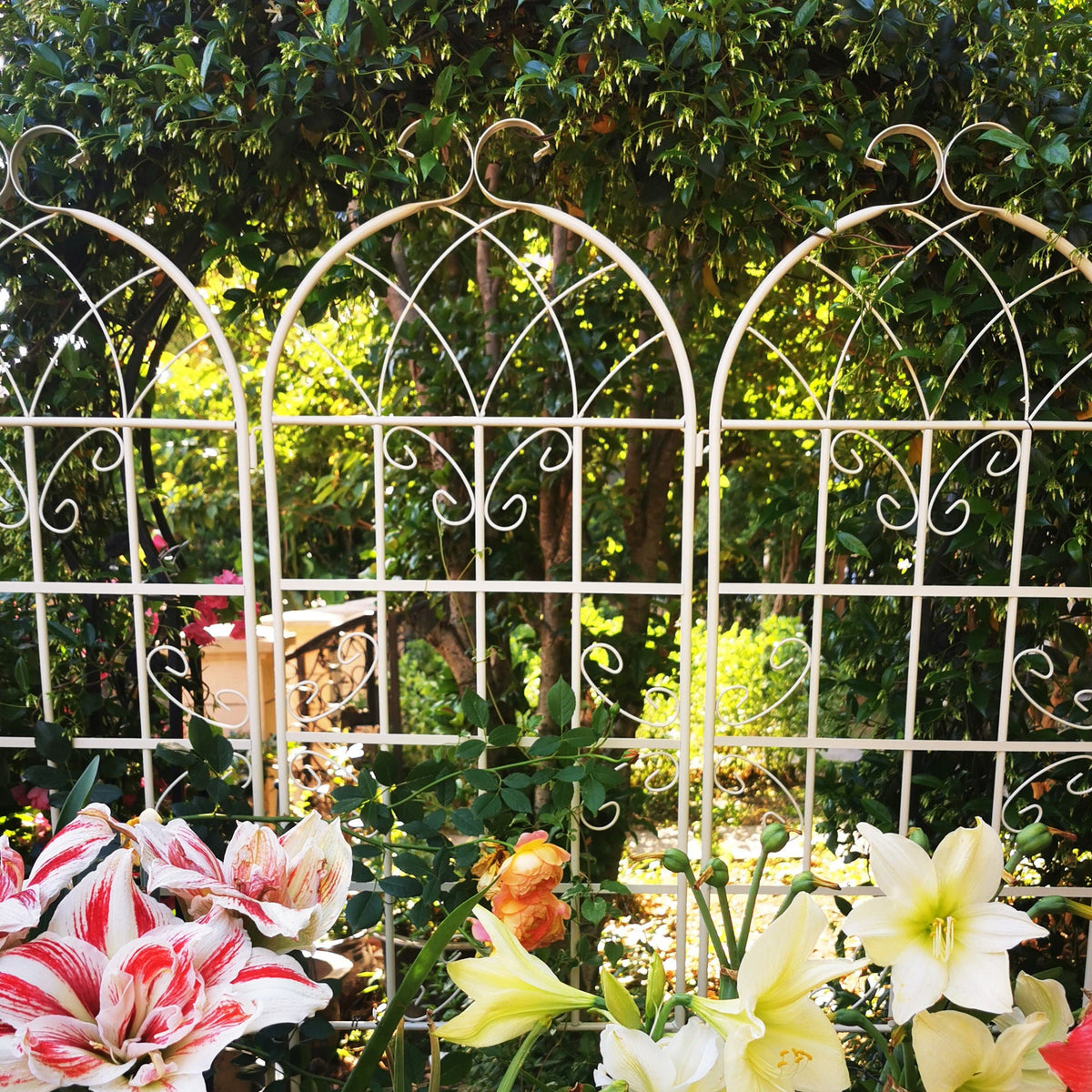 Metal Garden Rustproof Trellis For Climbing Plants Outdoor Flower Support, photo 19 of 20