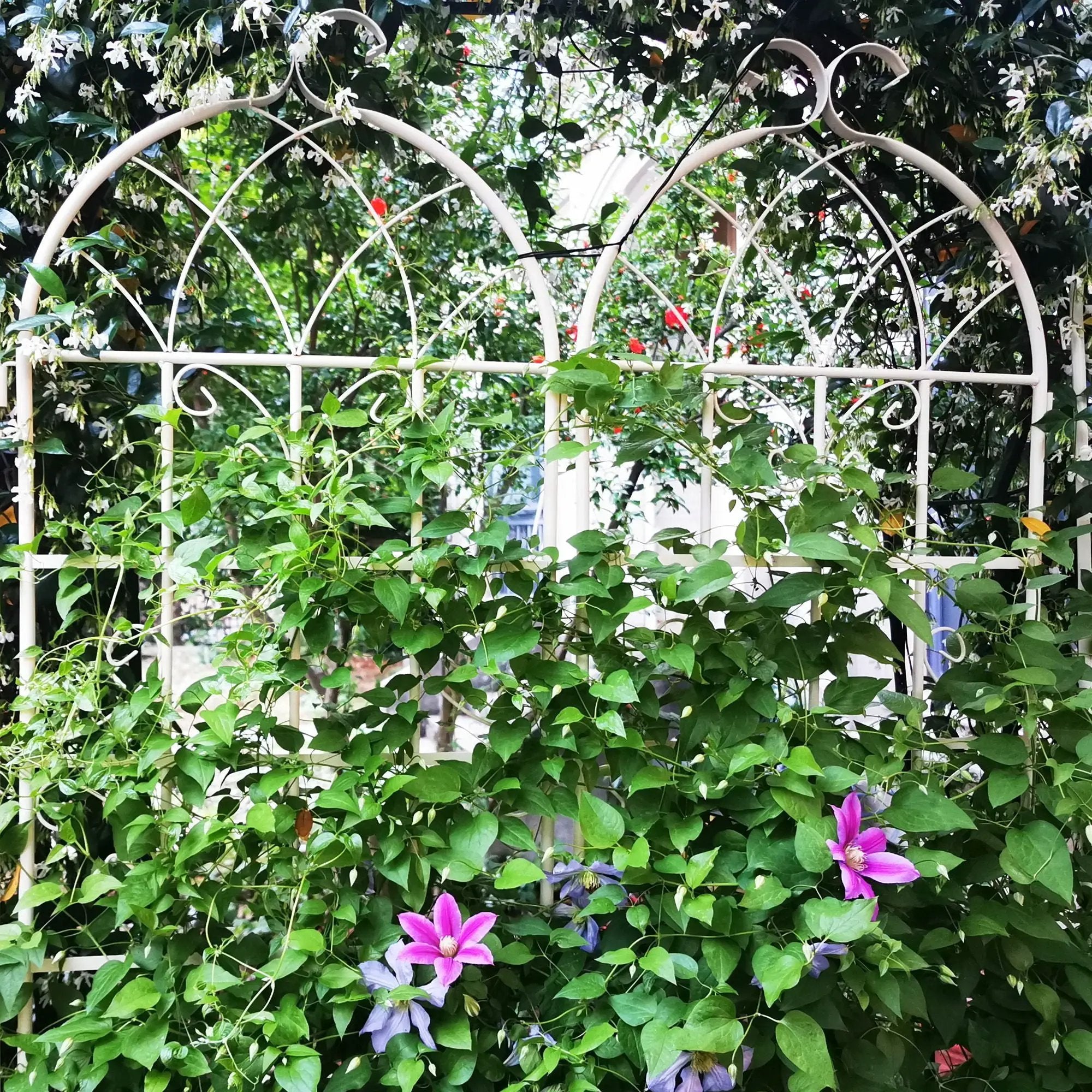 Metal Garden Rustproof Trellis For Climbing Plants Outdoor Flower Support by HouseOfZazla