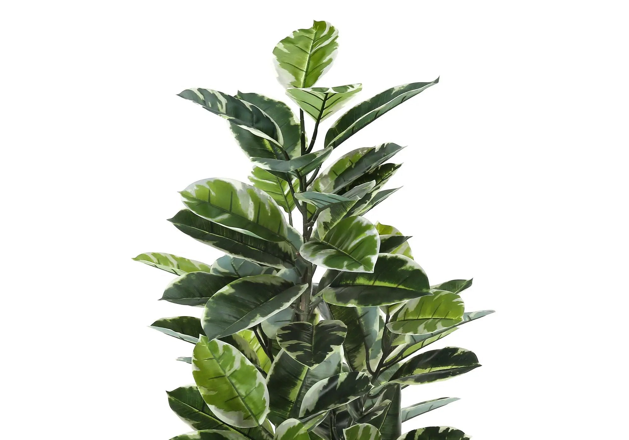 52" Tall Artificial Rubber Tree Indoor Plant by HouseOfZazla