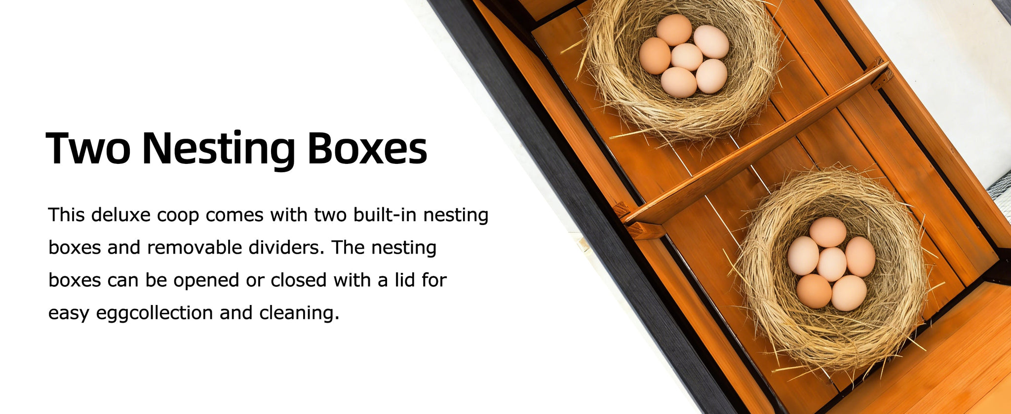 119.5" Outdoor Wooden Chicken Coop with Run by HouseOfZazla