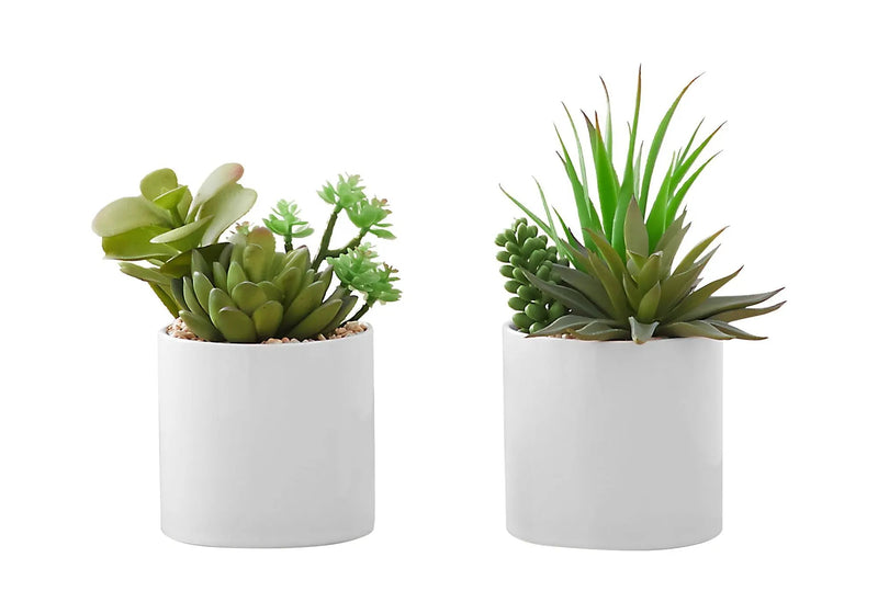 7" Tall Artificial Succulent Plant Set of 2 with White Ceramic Pots by HouseOfZazla