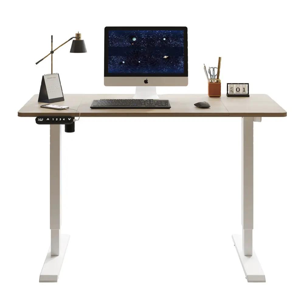 55"×24" Light Electric Standing Desk by HouseOfZazla