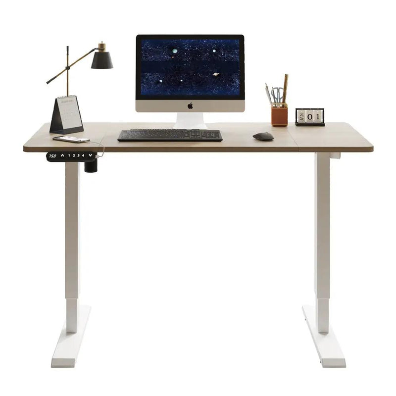55"×24" Light Electric Standing Desk by HouseOfZazla