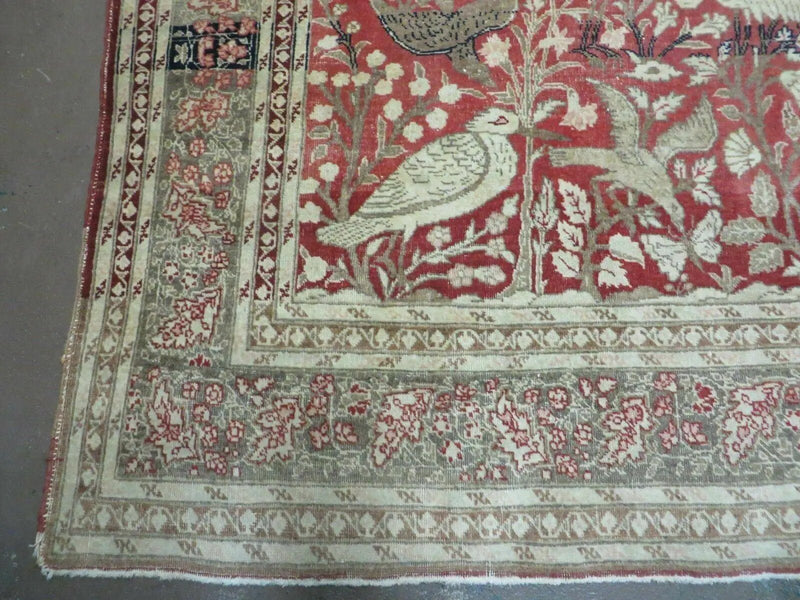4' X 6' Antique Handmade Turkish Tree Of Life Oriental Wool Rug Birds Red by Jewel Rugs