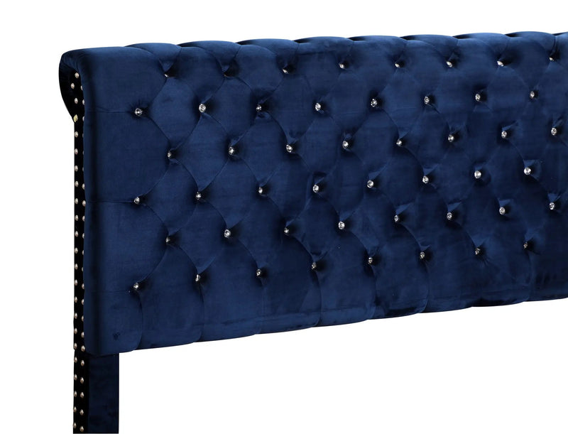Elegant Transitional Upholstered Bed by HouseOfZazla