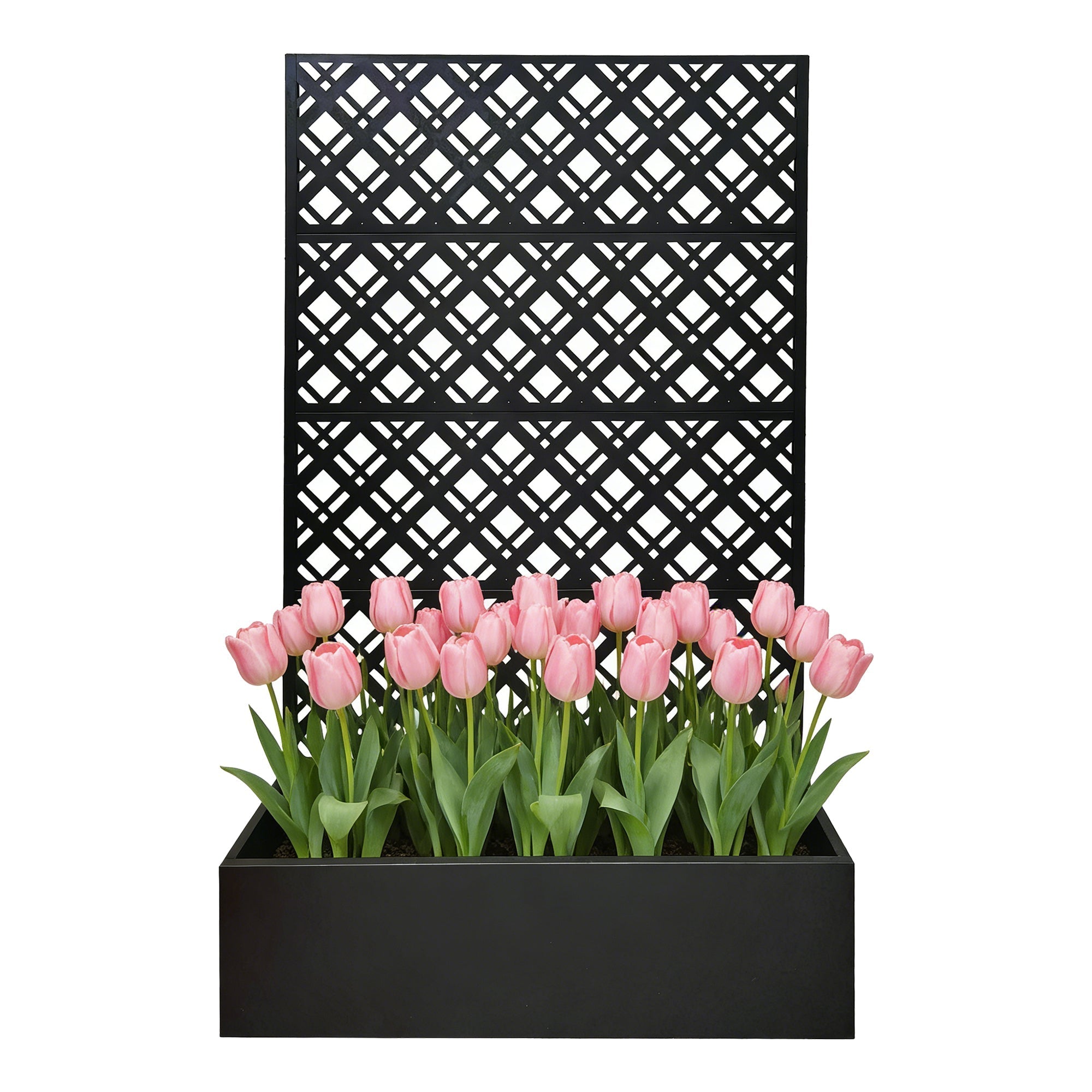 Rhombus Black Metal Planter Raised Garden Bed with Trellis by HouseOfZazla