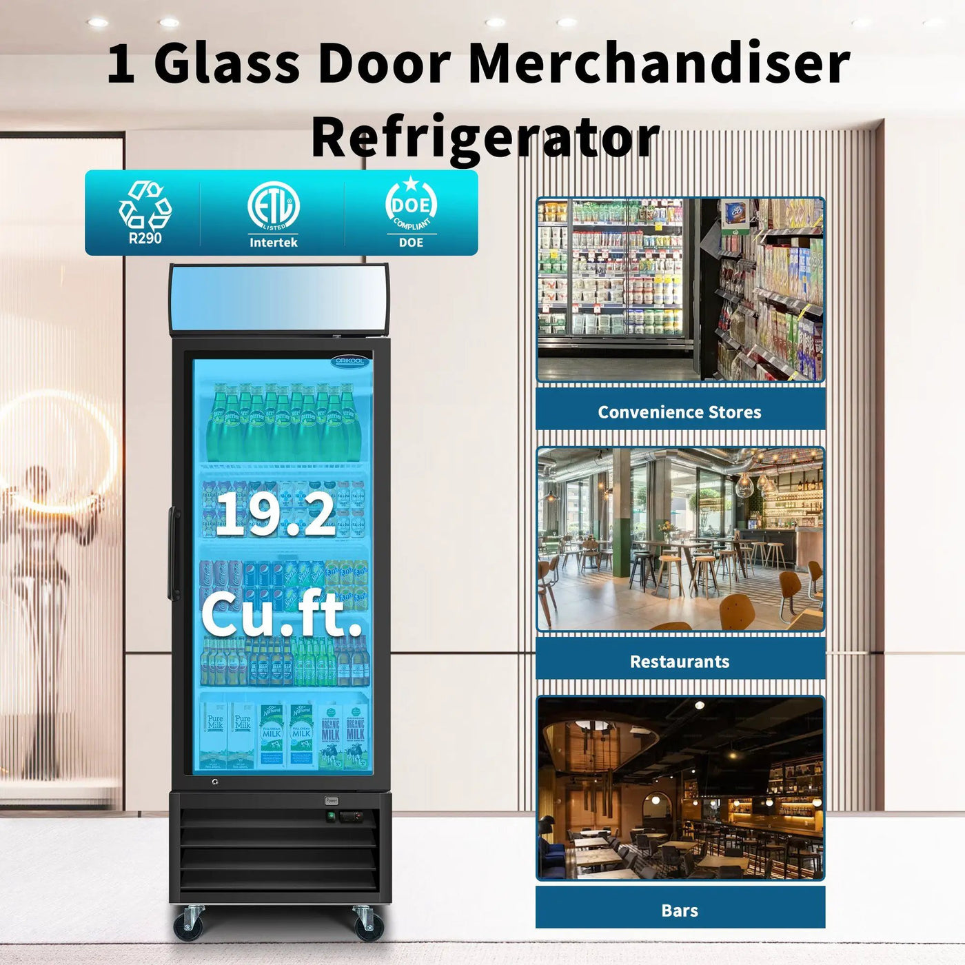 Glass Door Merchandiser Refrigerator Swing Door Commercial Display Refrigerators Merchandising Refrigeration With LED Top Panel by HouseOfZazla