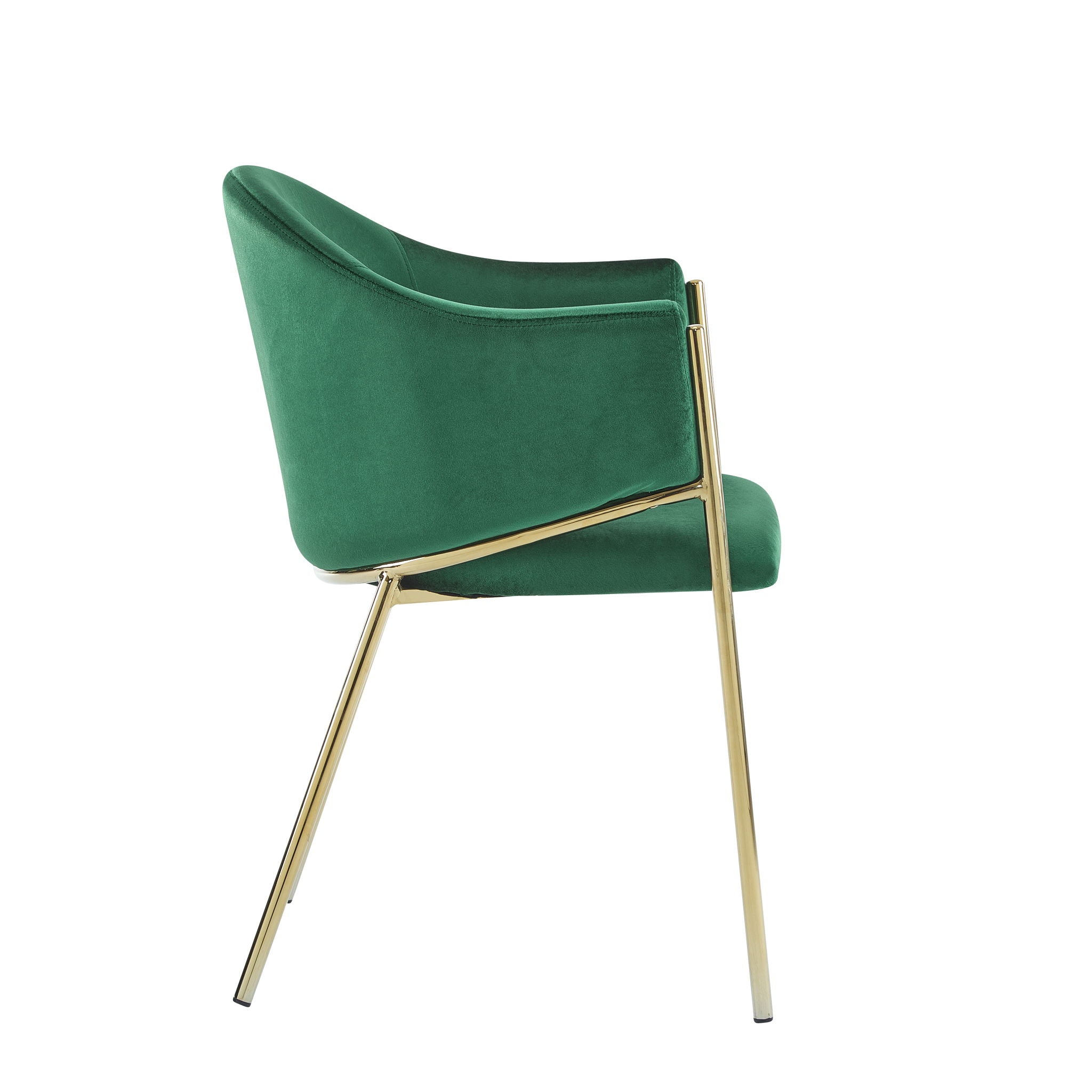 Modern Upholstered Dining Chair with Gold Metal Frame by HouseOfZazla