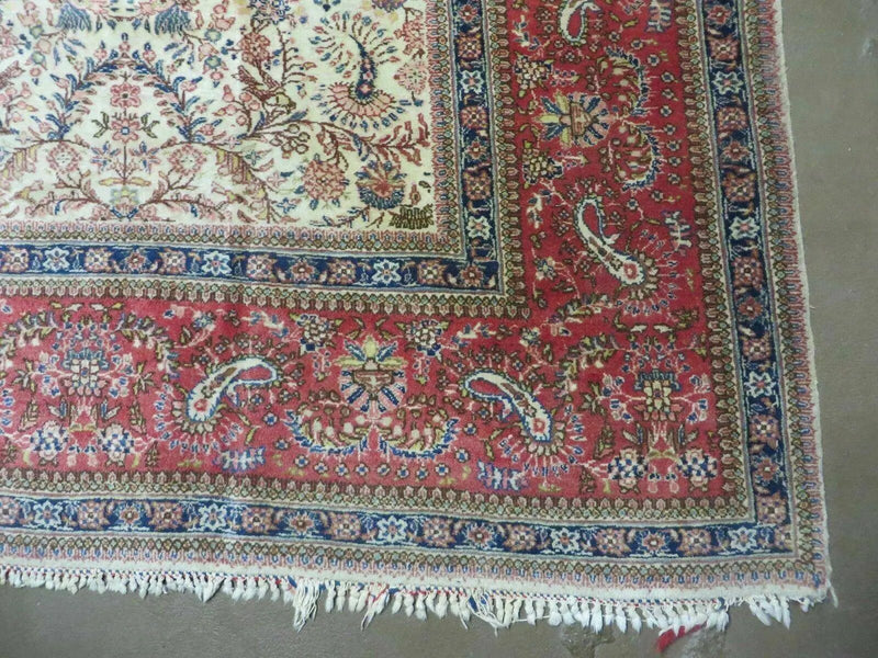 Persian Tabriz Rug 8x10, Bird Motifs Floral, Boteh Paisleys, Cream and Red, Handmade Wool Carpet by Jewel Rugs