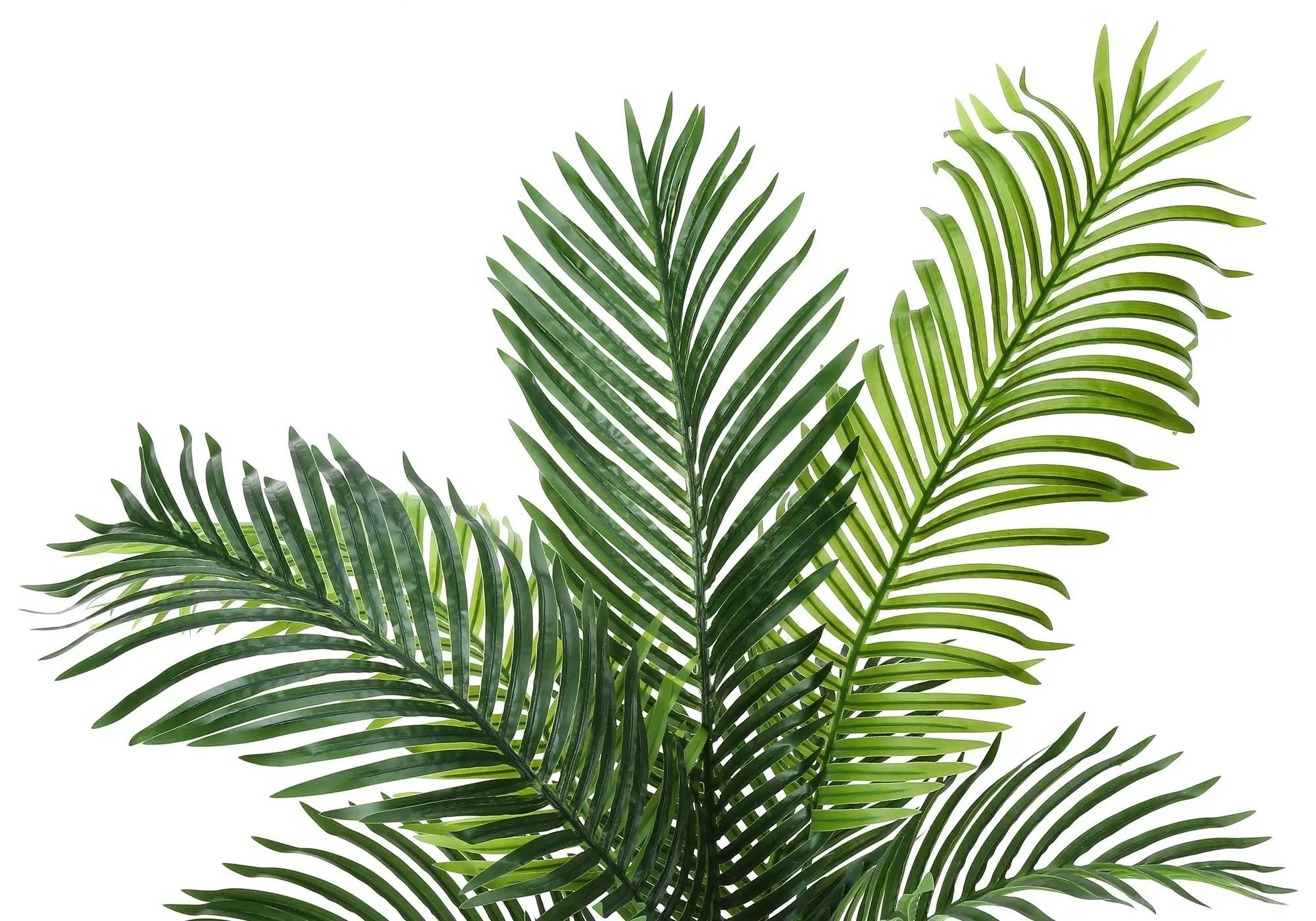 47" Tall, Artificial Plant, Palm Tree, Indoor, Faux, Fake, Floor, Greenery, Potted, Real Touch, Decorative - Green / Black by Unique Piece Furniture