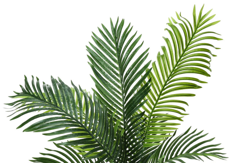 47" Tall, Artificial Plant, Palm Tree, Indoor, Faux, Fake, Floor, Greenery, Potted, Real Touch, Decorative - Green / Black by Unique Piece Furniture