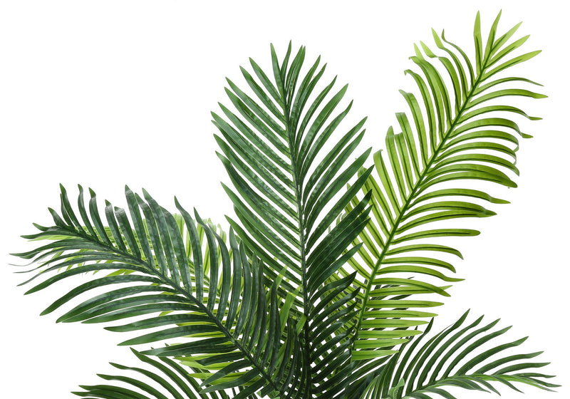 47" Tall Artificial Palm Tree with Real-Touch Leaves - Black Pot, photo 4 of 4