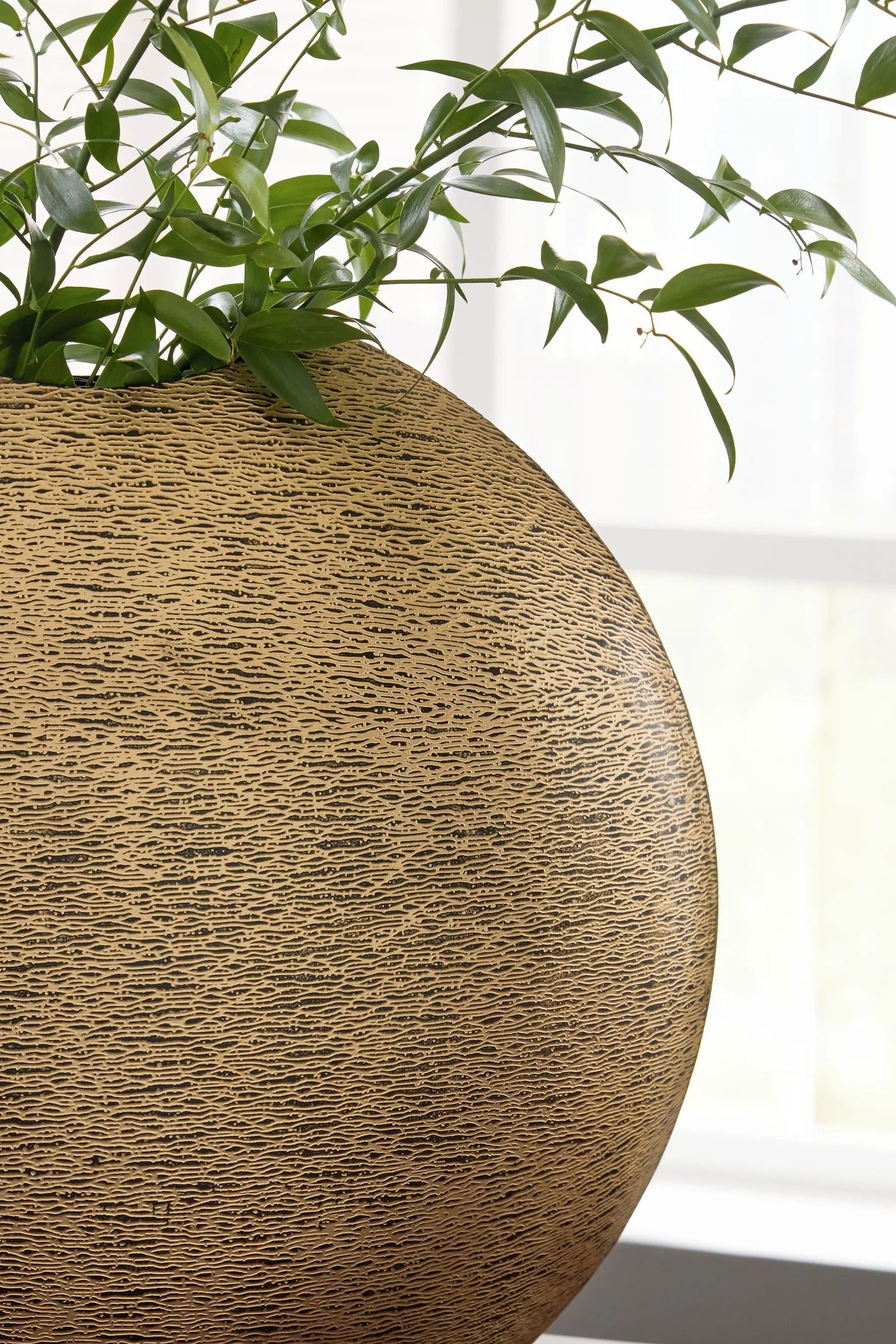 Iansboro - Vase by Unique Piece Furniture