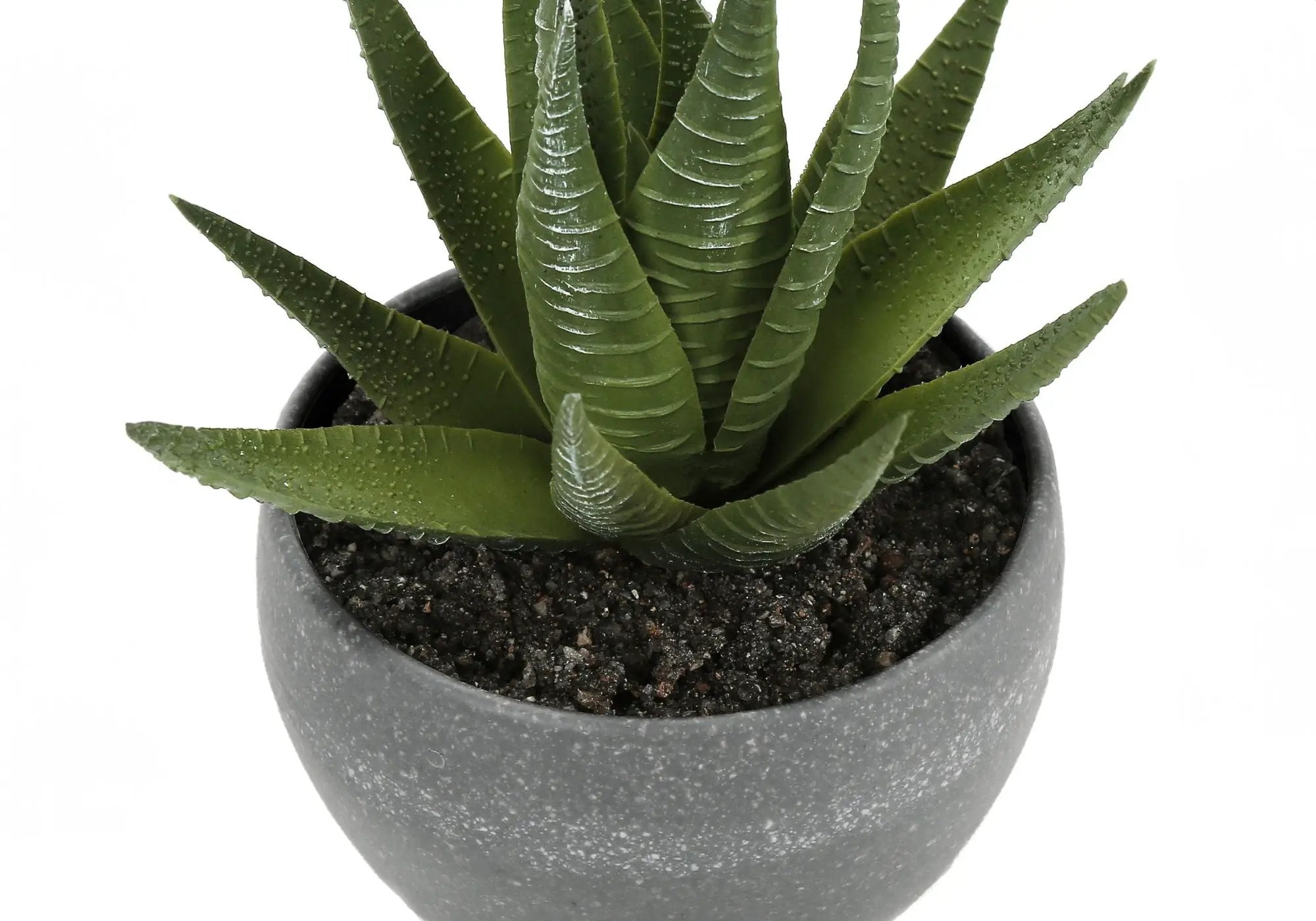 6" Tall Artificial Succulent Plant Set of 3 by HouseOfZazla