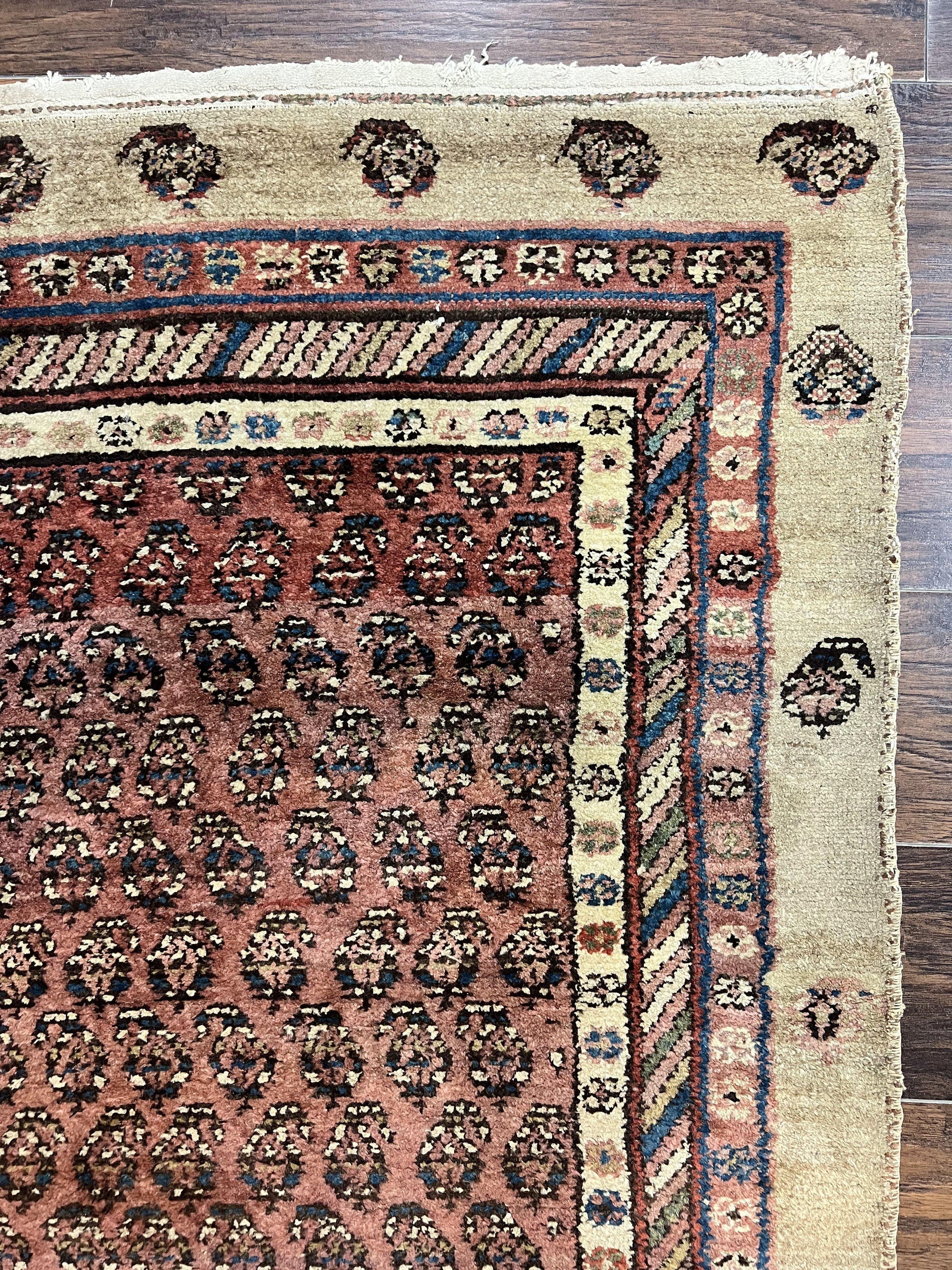 Antique Persian Sarab Runner Rug 3x11, Wool Camel Hair, Tribal Carpet for Hallway 3 x 11, Antique 1920s Rug, Handmade by Jewel Rugs