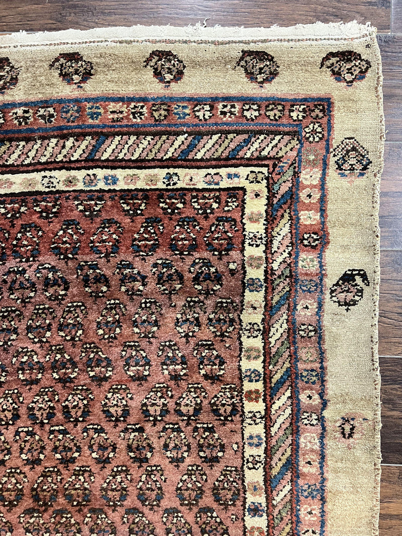 Antique Persian Sarab Runner Rug 3x11, Wool Camel Hair, Tribal Carpet for Hallway 3 x 11, Antique 1920s Rug, Handmade by Jewel Rugs