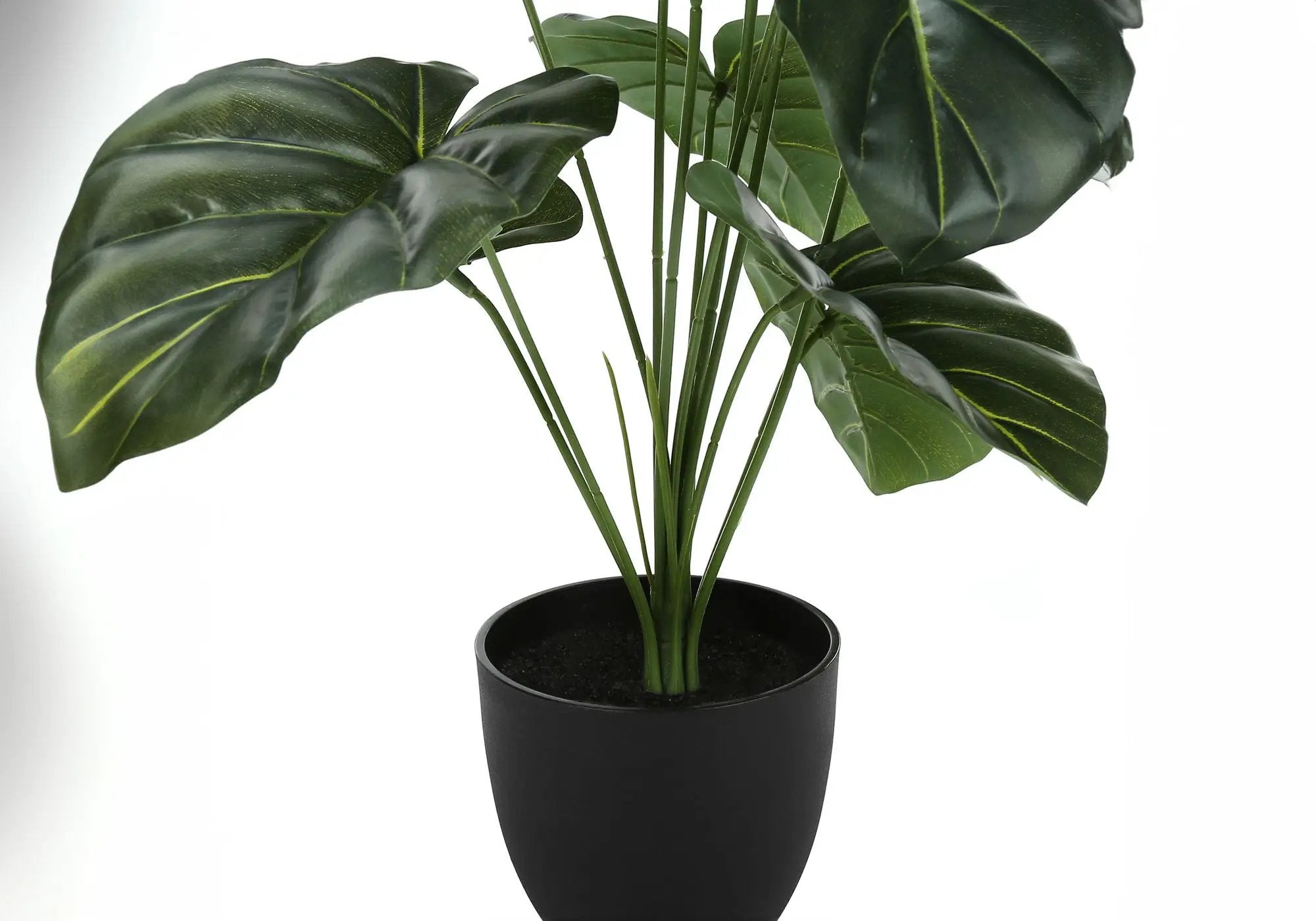 24" Tall Artificial Alocasia Plant by HouseOfZazla