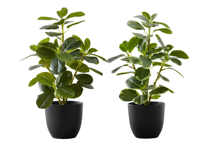 14" Tall, Artificial Plant, Ficus, Indoor, Faux, Fake, Table, Greenery, Potted, Decorative (Set of 2) - Green / Black by Unique Piece Furniture