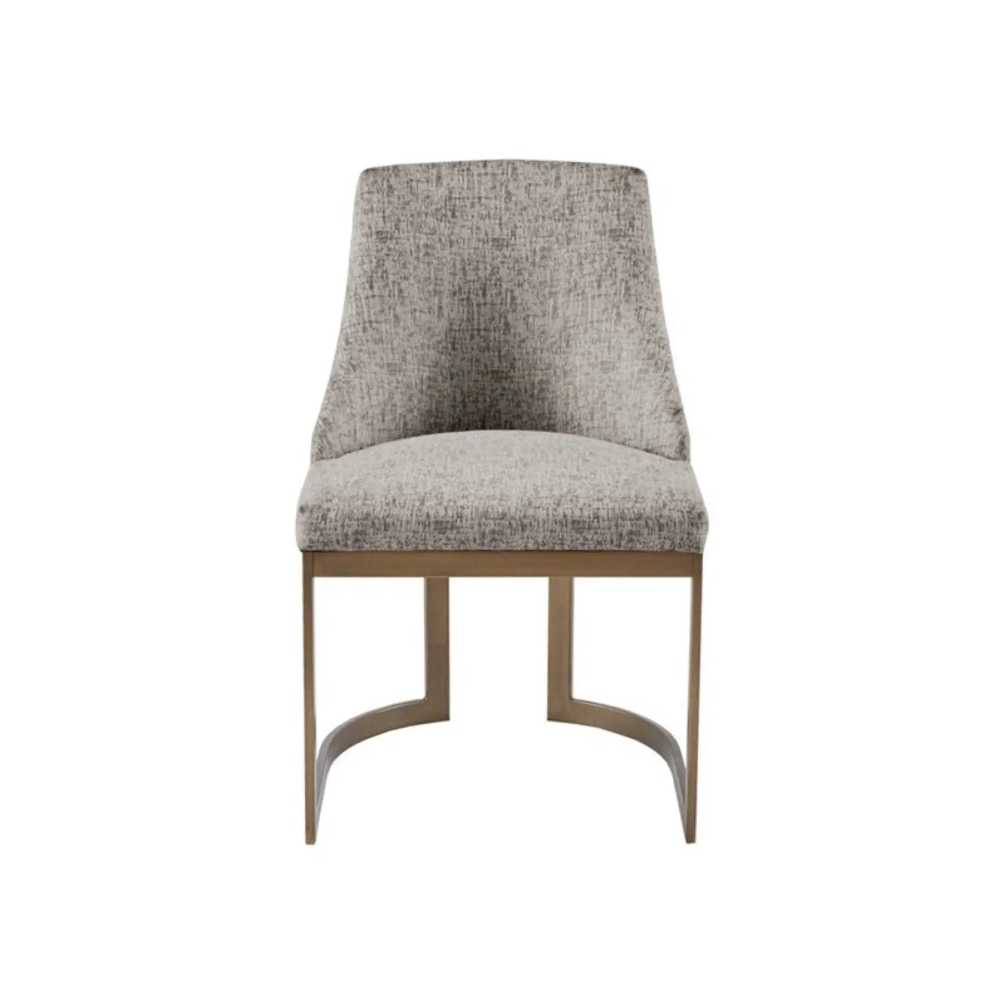 Contemporary Modern Accent Dining Chairs (Set of 2) by HouseOfZazla