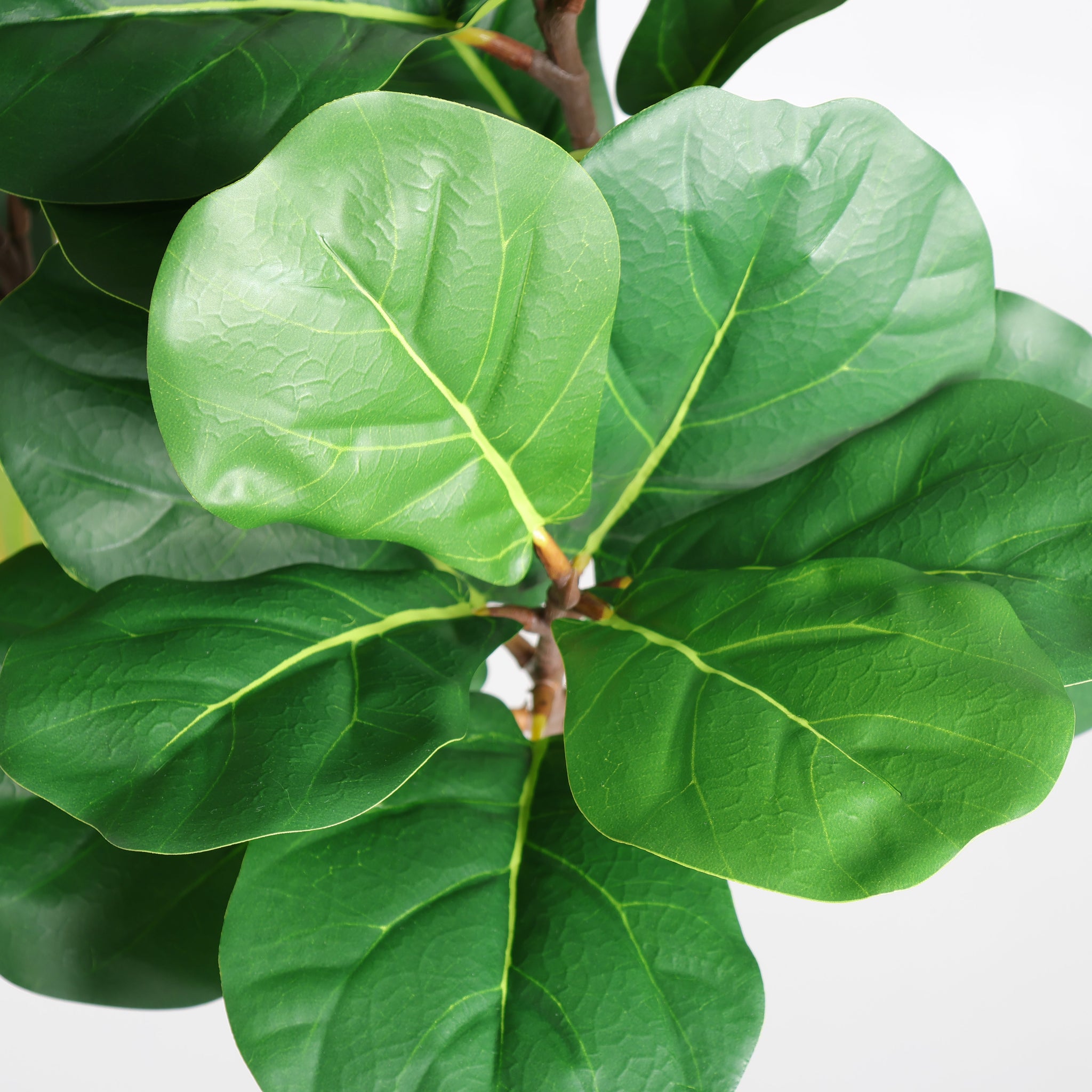 6FT Artificial Fiddle Leaf Fig Tree With Decorative Pot by HouseOfZazla