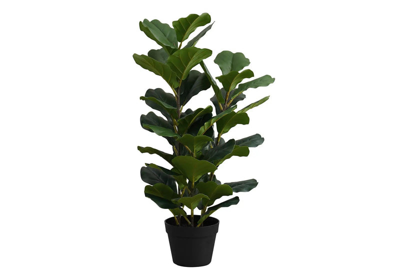 32" Tall, Artificial Plant, Fiddle Tree, Indoor, Faux, Fake, Floor, Greenery, Potted, Real Touch, Decorative - Green / Black by Unique Piece Furniture