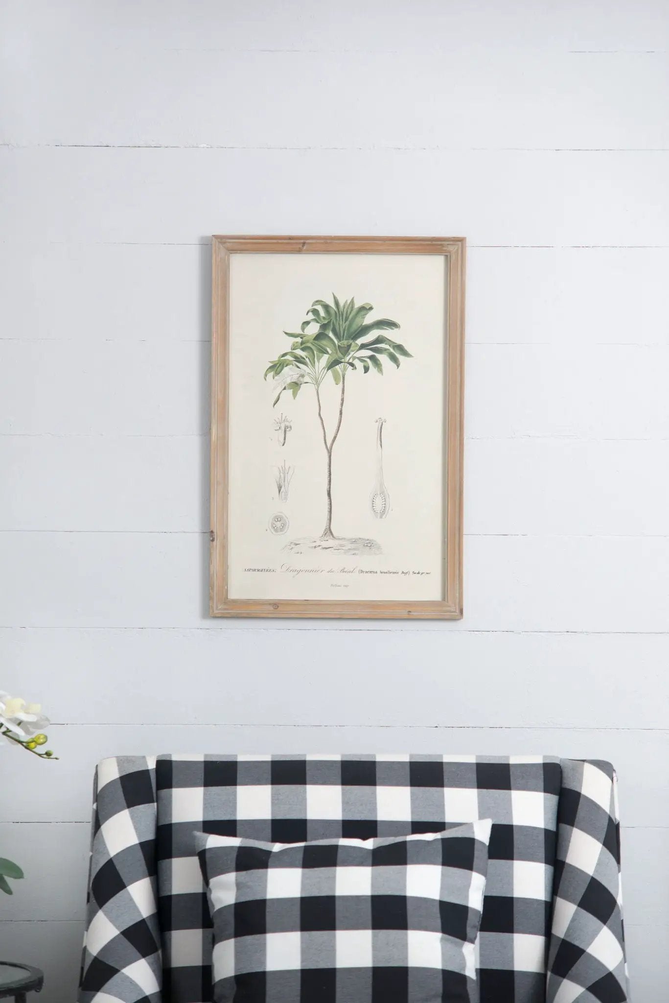 Tree Framed Print (Set of 2) - Multicolor by Unique Piece Furniture