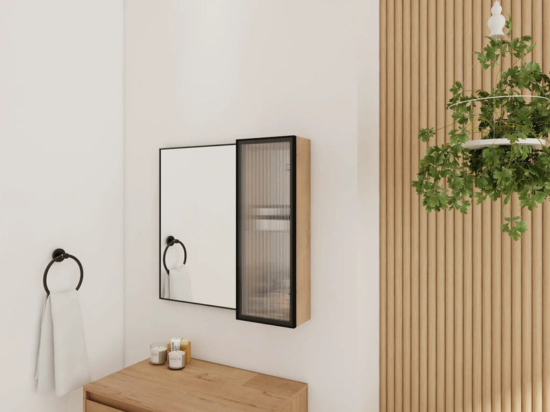 10'' Bathroom Wall Mirror Cabinet with Acrylic Door by HouseOfZazla