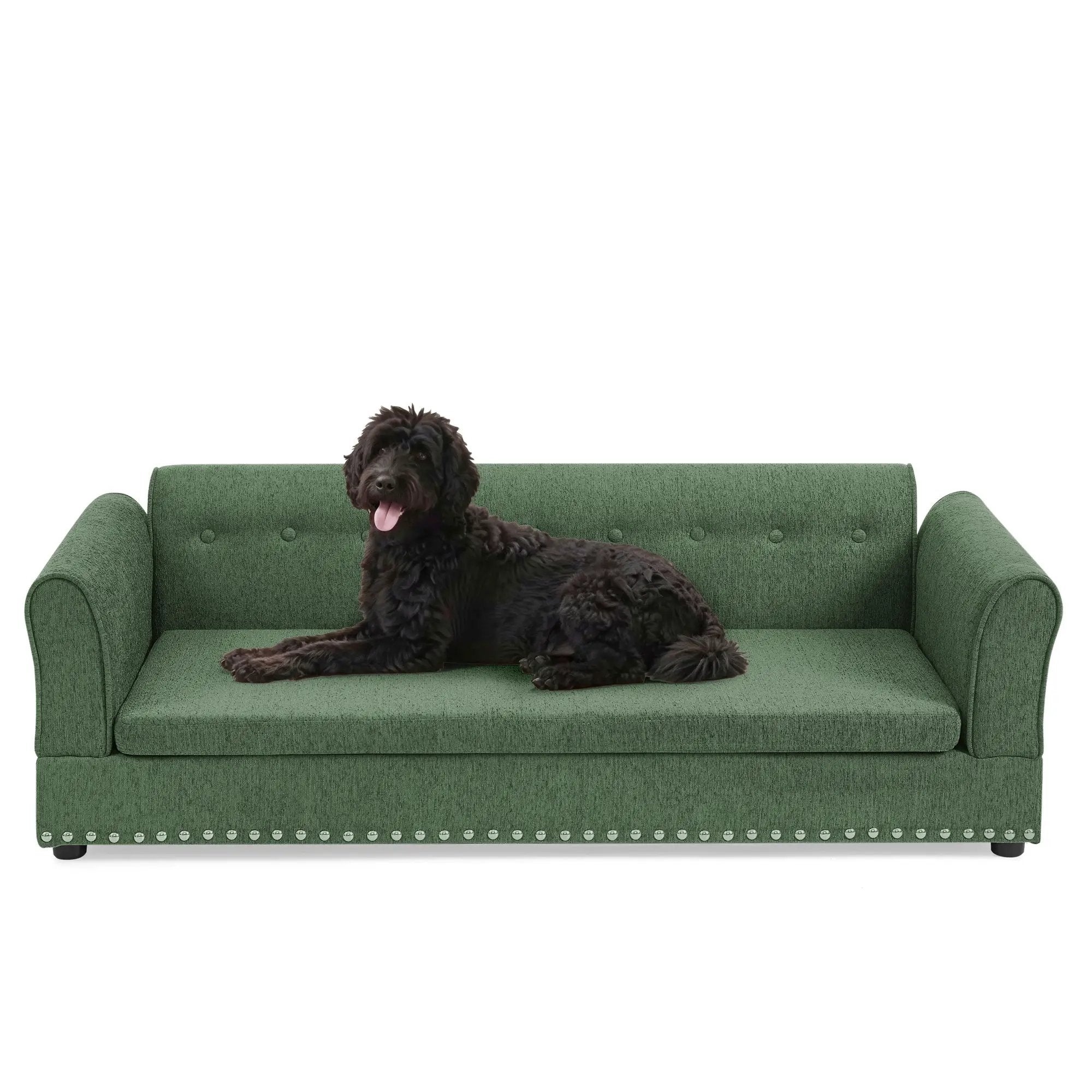 Oversized Pet Sofa - Elegant Modern Design by HouseOfZazla