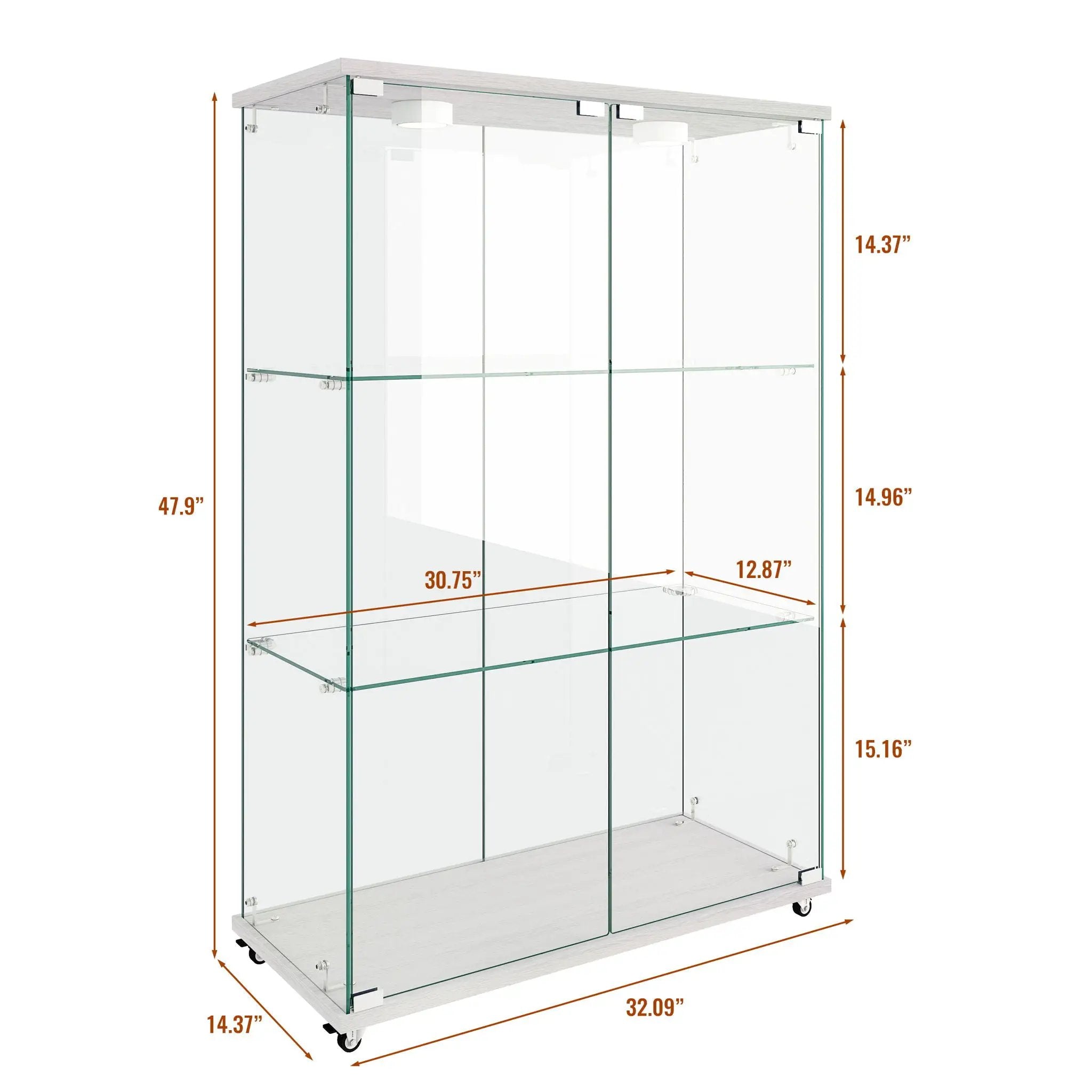 Modern Display Cabinet With LED Lights, Transparent Tempered Glass 2 Door Storage Case With 3 Shelves by HouseOfZazla