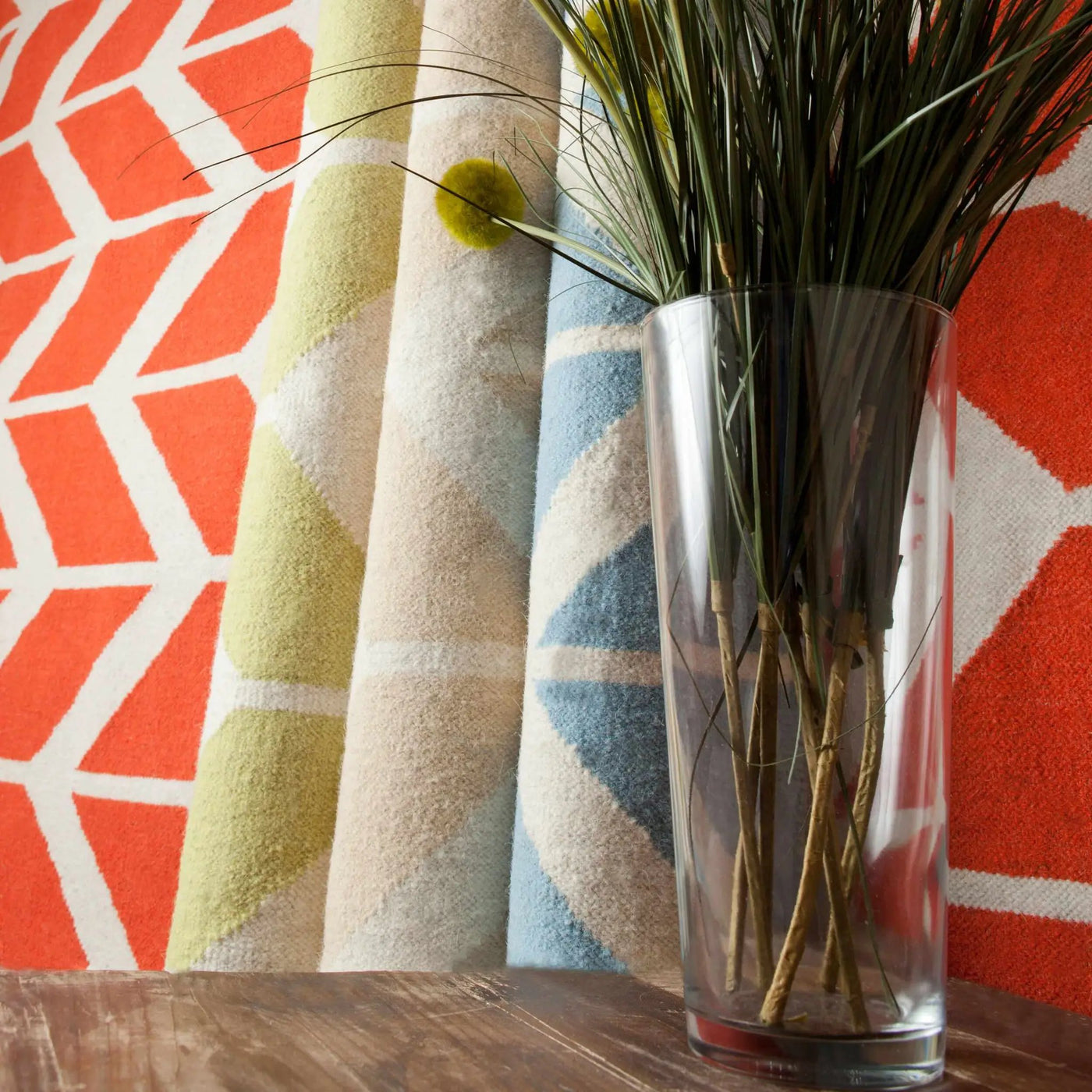 Kenwood Area Rug - Clearance by Boutique Rugs