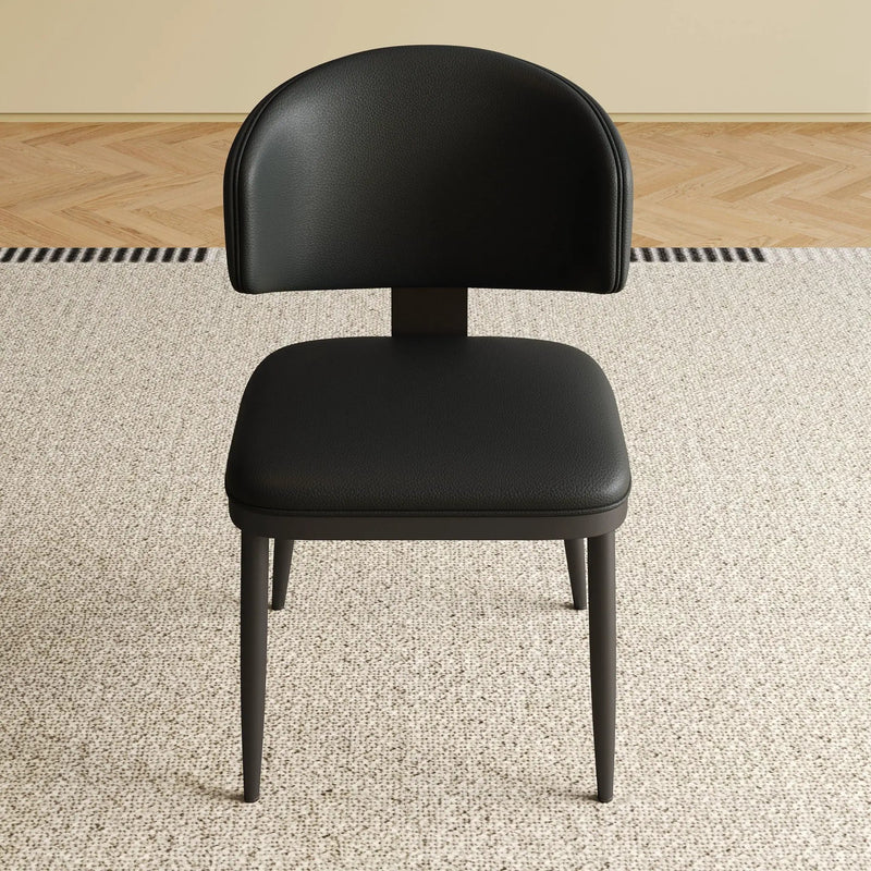 Modern Dining Chairs For Kitchen (Set of 2) by HouseOfZazla