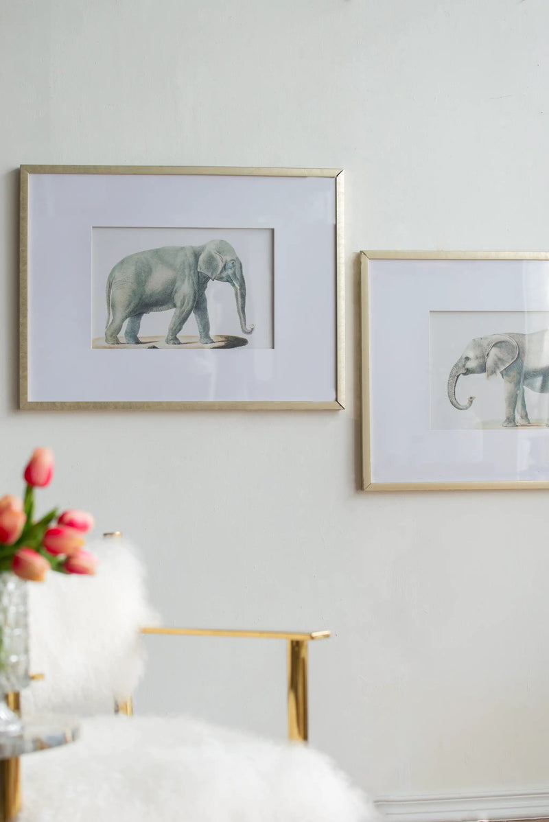 23.6x31.5" Fake Elephant Pencil Drawings, Set of 2 by HouseOfZazla