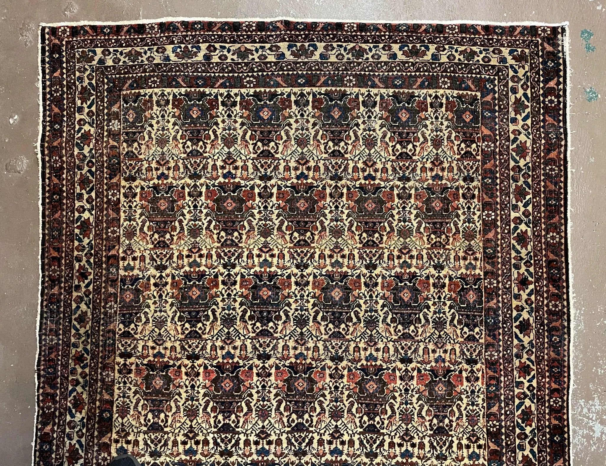 Antique Persian Afshar Rug 5x7, Wool Hand Knotted Oriental Carpet 5 x 7 ft, Repeated Motif Allover, Cream and Maroon, Tribal Rug, Medium Sized Rug, Zil-i-Sultan Design by Jewel Rugs