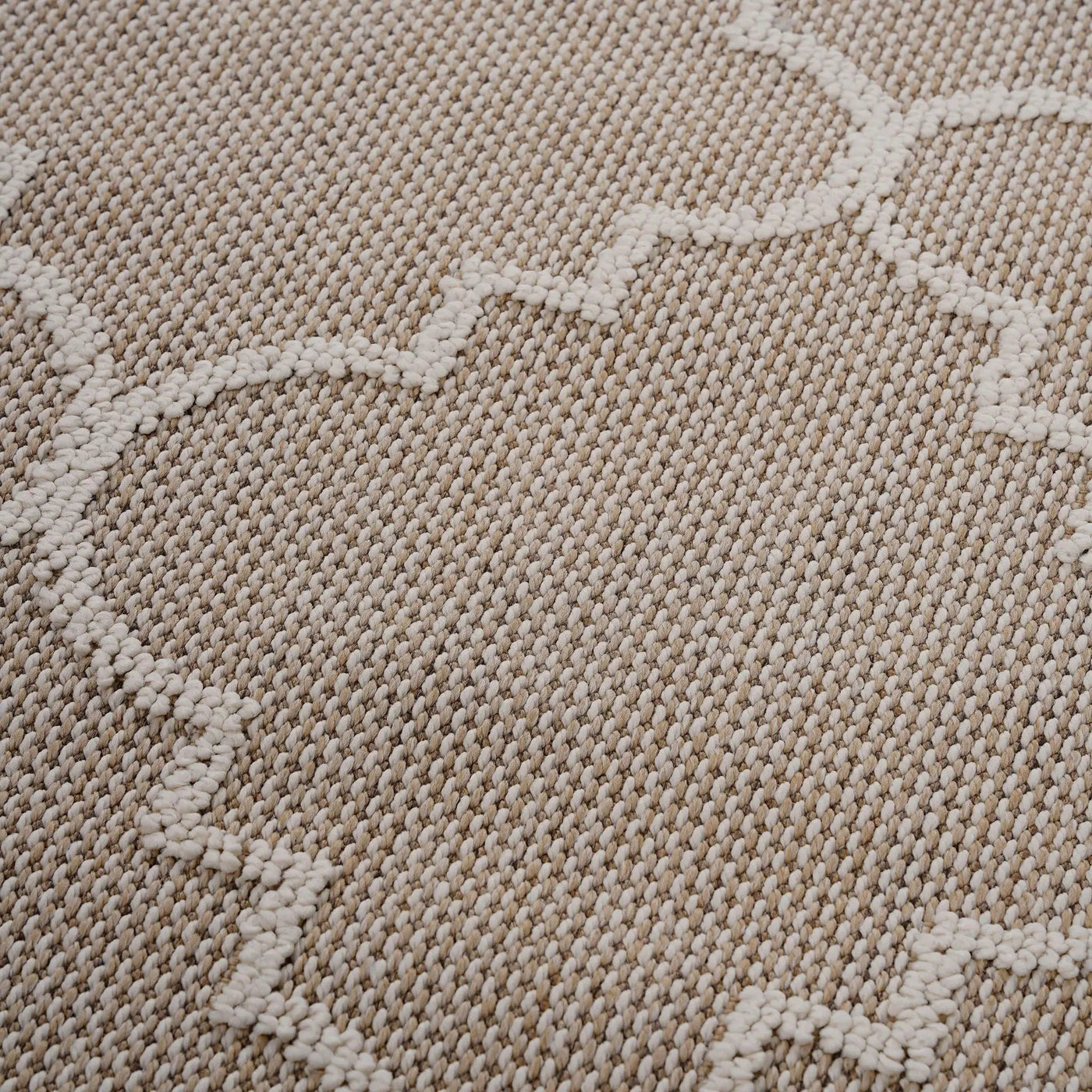 Guros - Trellis Indoor / Outdoor Area Rug by HouseOfZazla