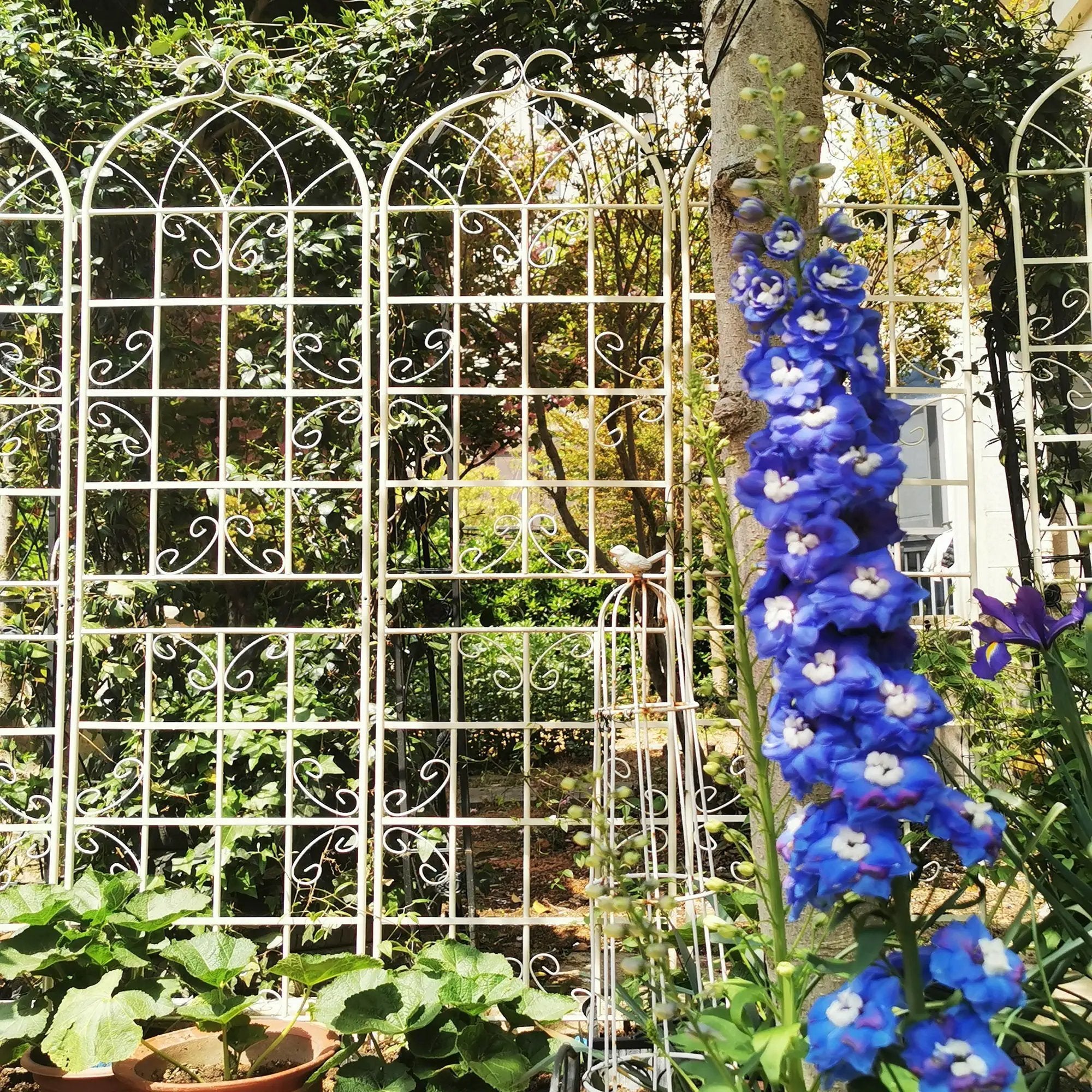 Metal Garden Rustproof Trellis For Climbing Plants Outdoor Flower Support by HouseOfZazla