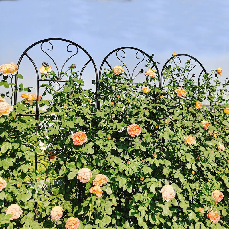 4 Pack Metal Garden Trellis by HouseOfZazla