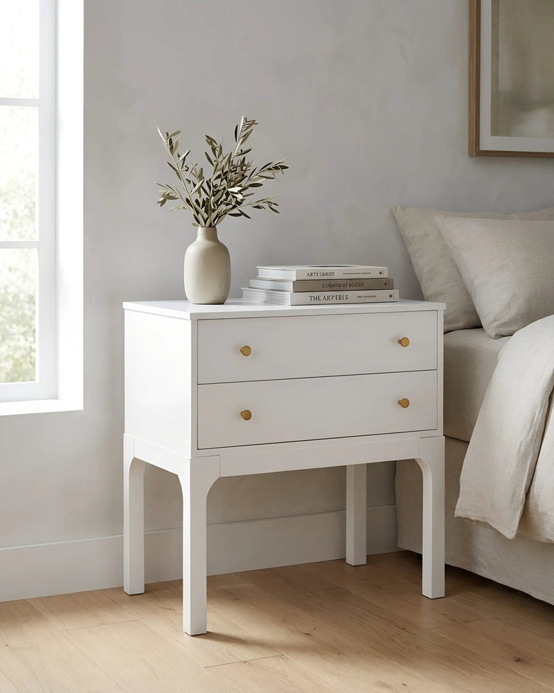 Alonso 2-Drawer Modern Nightstand by HouseOfZazla