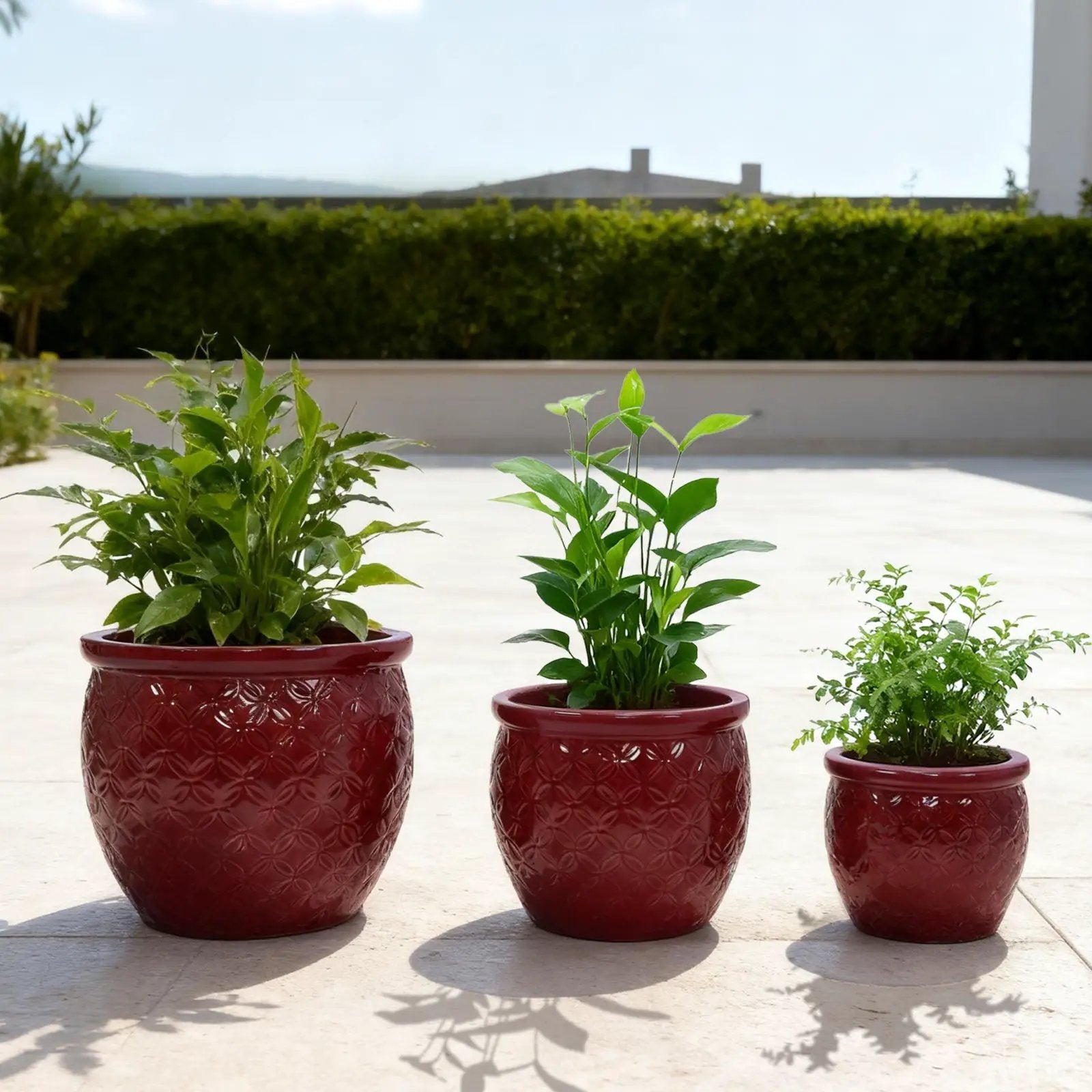 Handmade Ceramic Flower Pot Set of 3 by HouseOfZazla