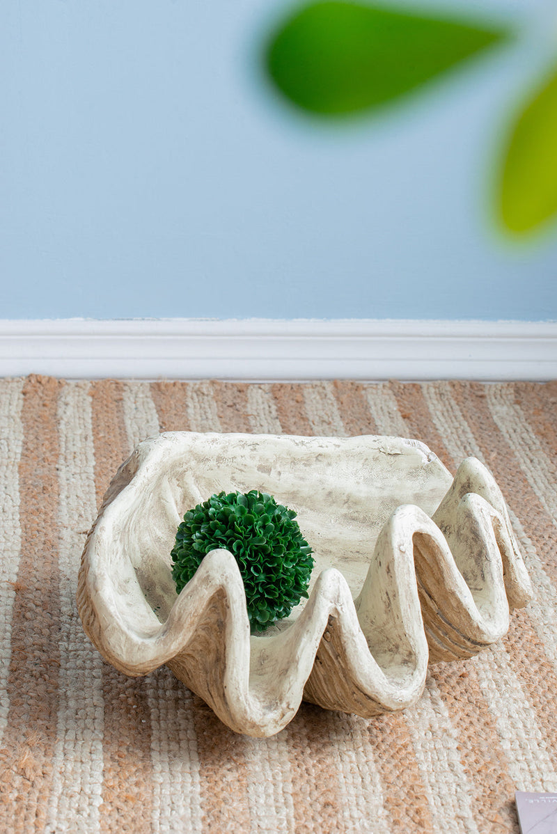 Medium Clam Shell Accent, photo 10 of 10
