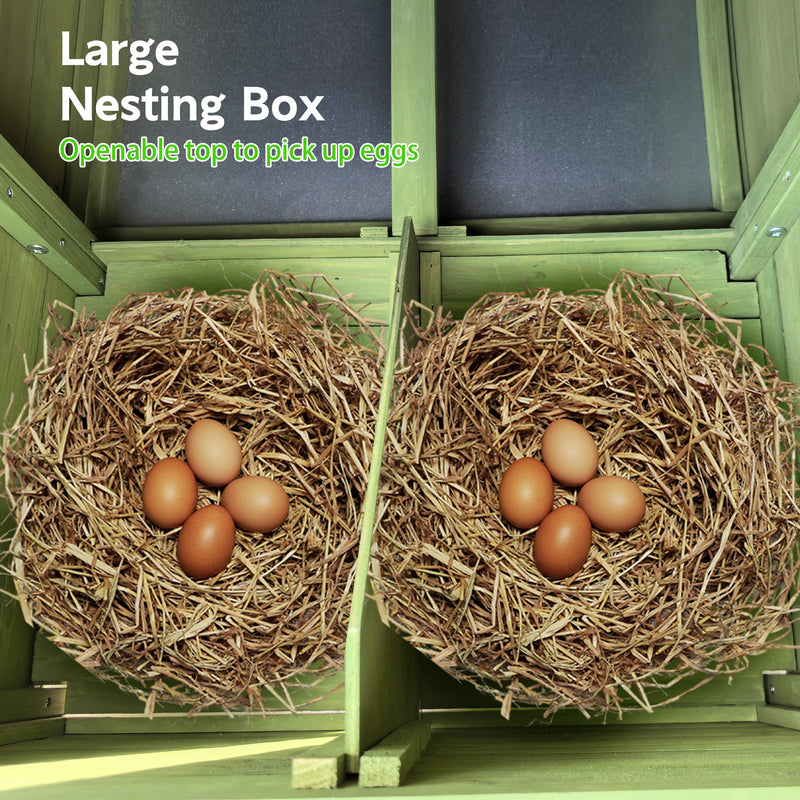 11.12 ft² Large Wooden Chicken Coop with Nesting Boxes & Perch by HouseOfZazla