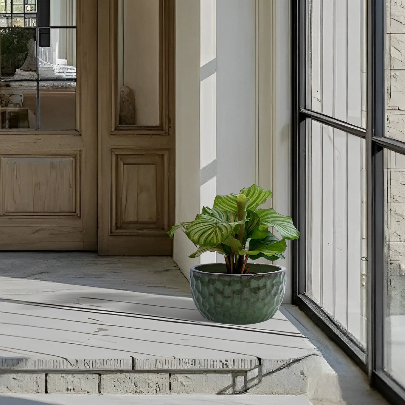 3 Pieces Ceramic Flowerpot by HouseOfZazla