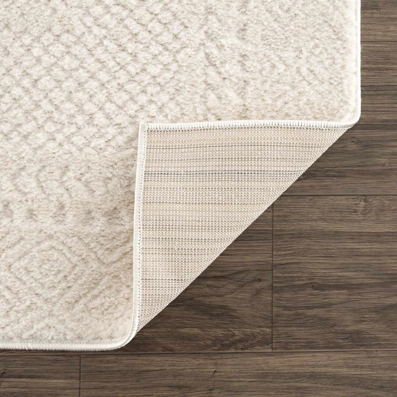 Julio Ivory Area Rug by Boutique Rugs