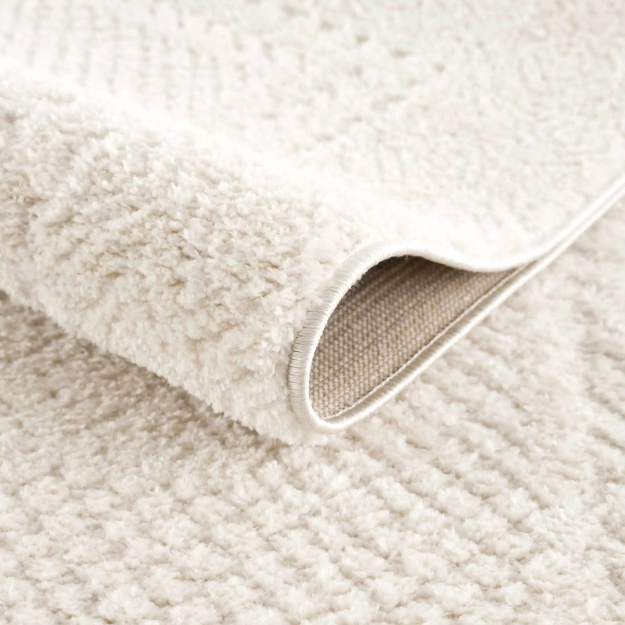 Julio Ivory Area Rug by Boutique Rugs