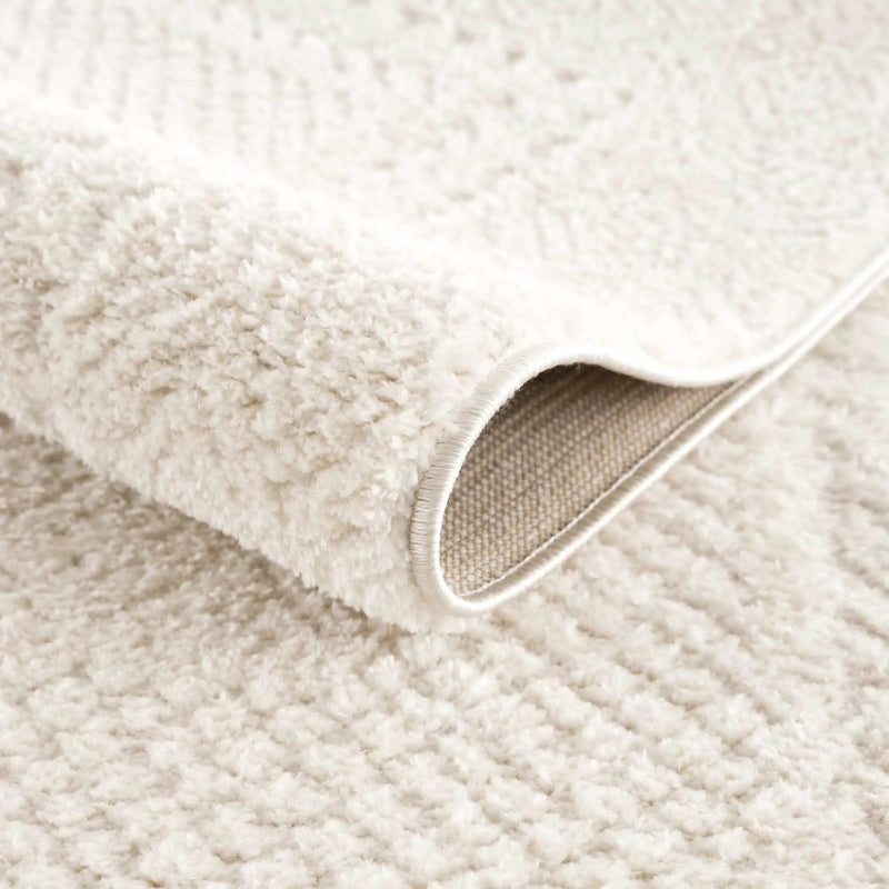 Julio Ivory Area Rug by Boutique Rugs