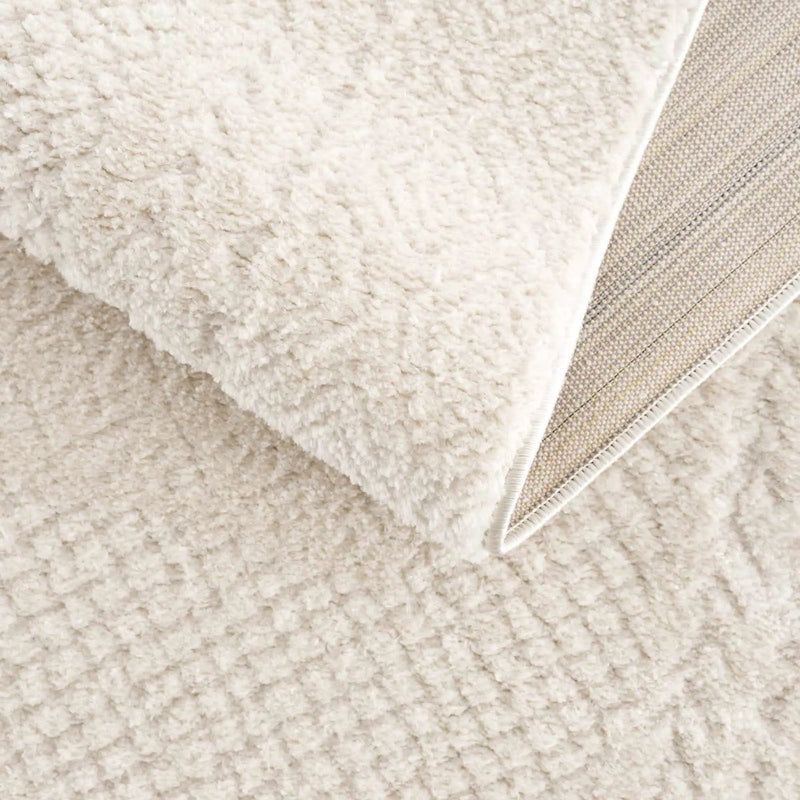 Julio Ivory Area Rug by Boutique Rugs