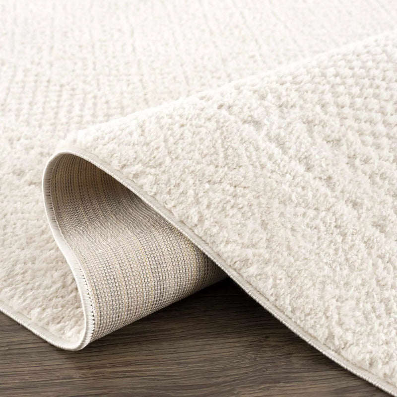 Julio Ivory Area Rug by Boutique Rugs