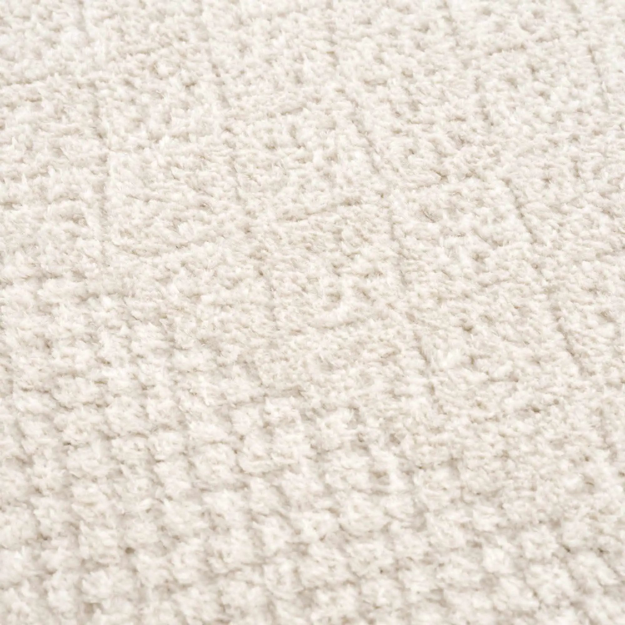 Julio Ivory Area Rug by Boutique Rugs